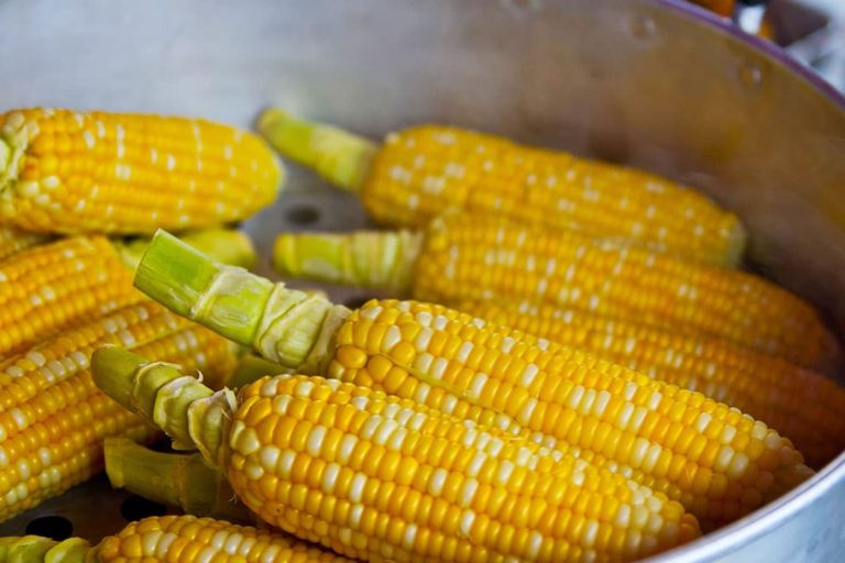 3 Propiedades nutricionales del maiz que mejoran tu día a día