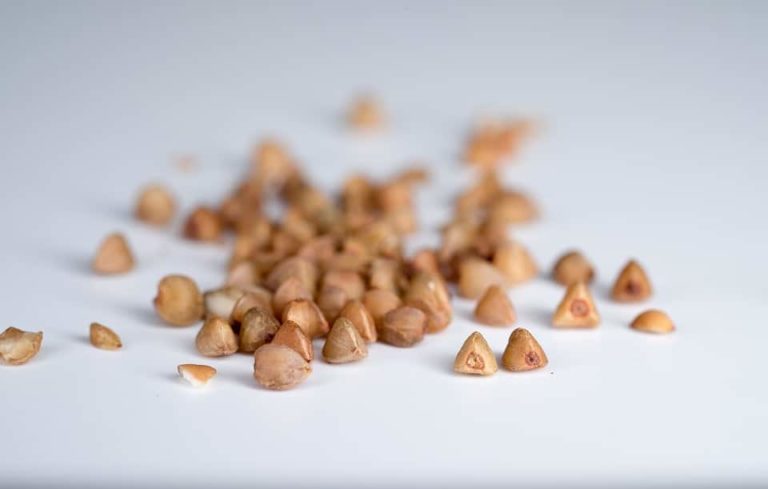 5 Propiedades del trigo sarraceno (Alforfón) que casi nadie conoce