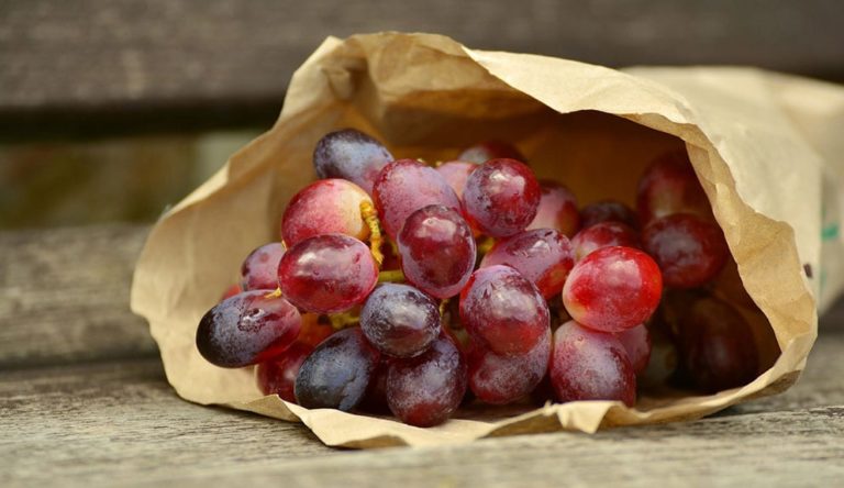 Receta sorbete de uva