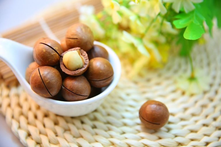 Propiedades de las nueces de macadamia para la salud