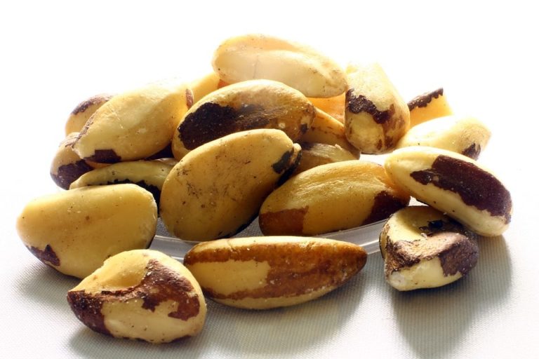 Propiedades nueces de Brasil