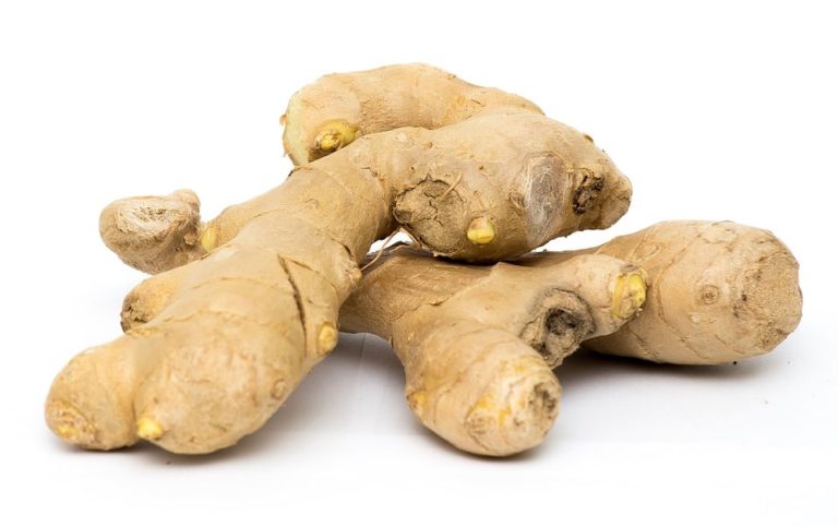 7 Propiedades del jengibre beneficiosas para tu salud